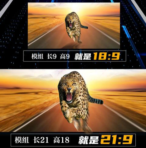 1603848170603305.jpg